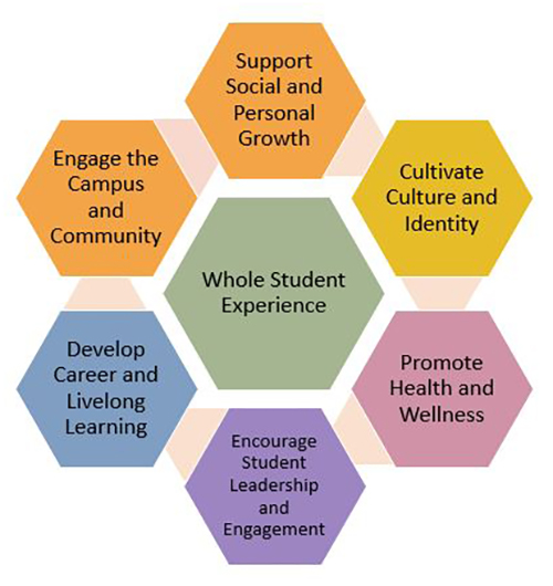 Co-curricular themes Co-curricular themes diagram